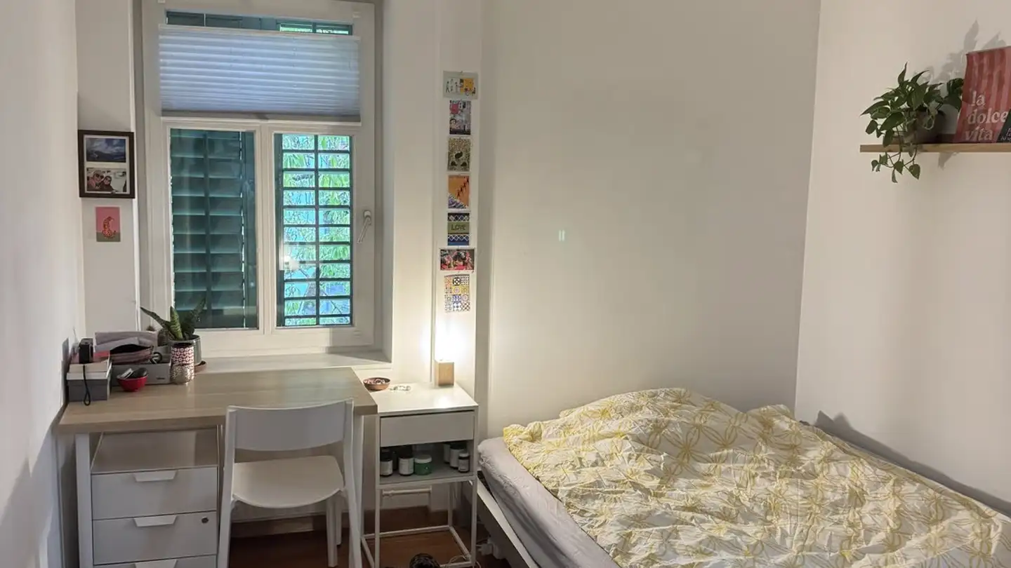 Appartamento in affitto - Tannenzaunstrasse 15, 8610 Uster