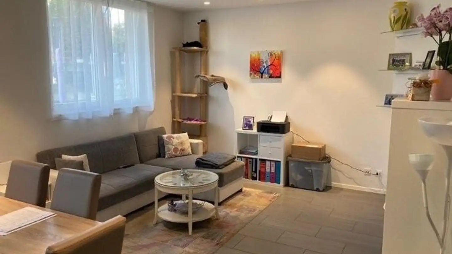 Wohnung mieten - 6949 Comano