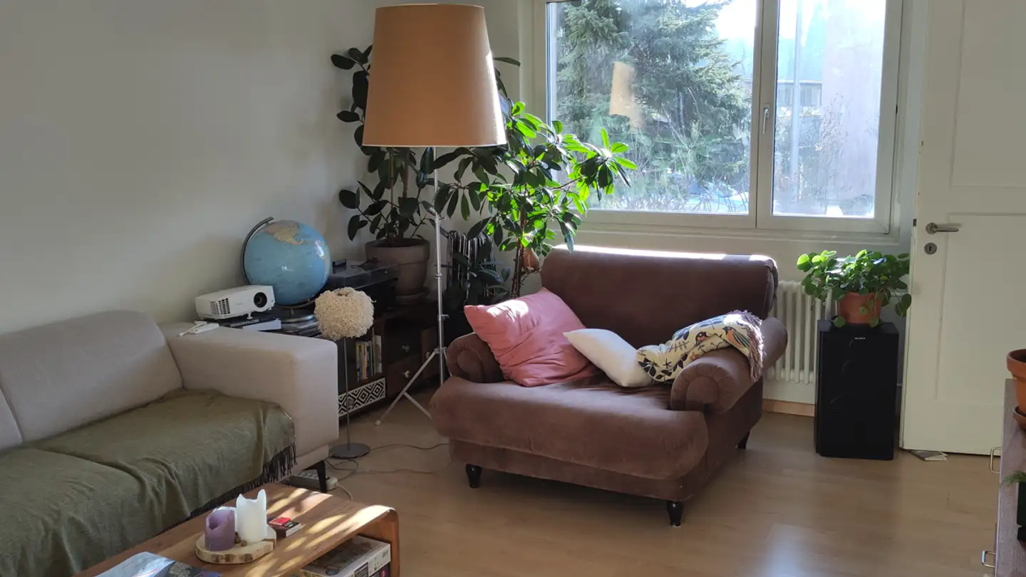 Chambre à louer - Edelweissstrasse 26, 8048 Zürich