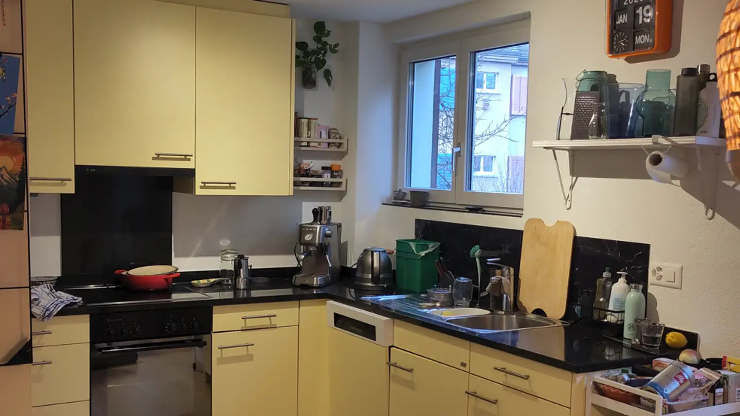 Chambre à louer - Edelweissstrasse 26, 8048 Zürich - Photo 2