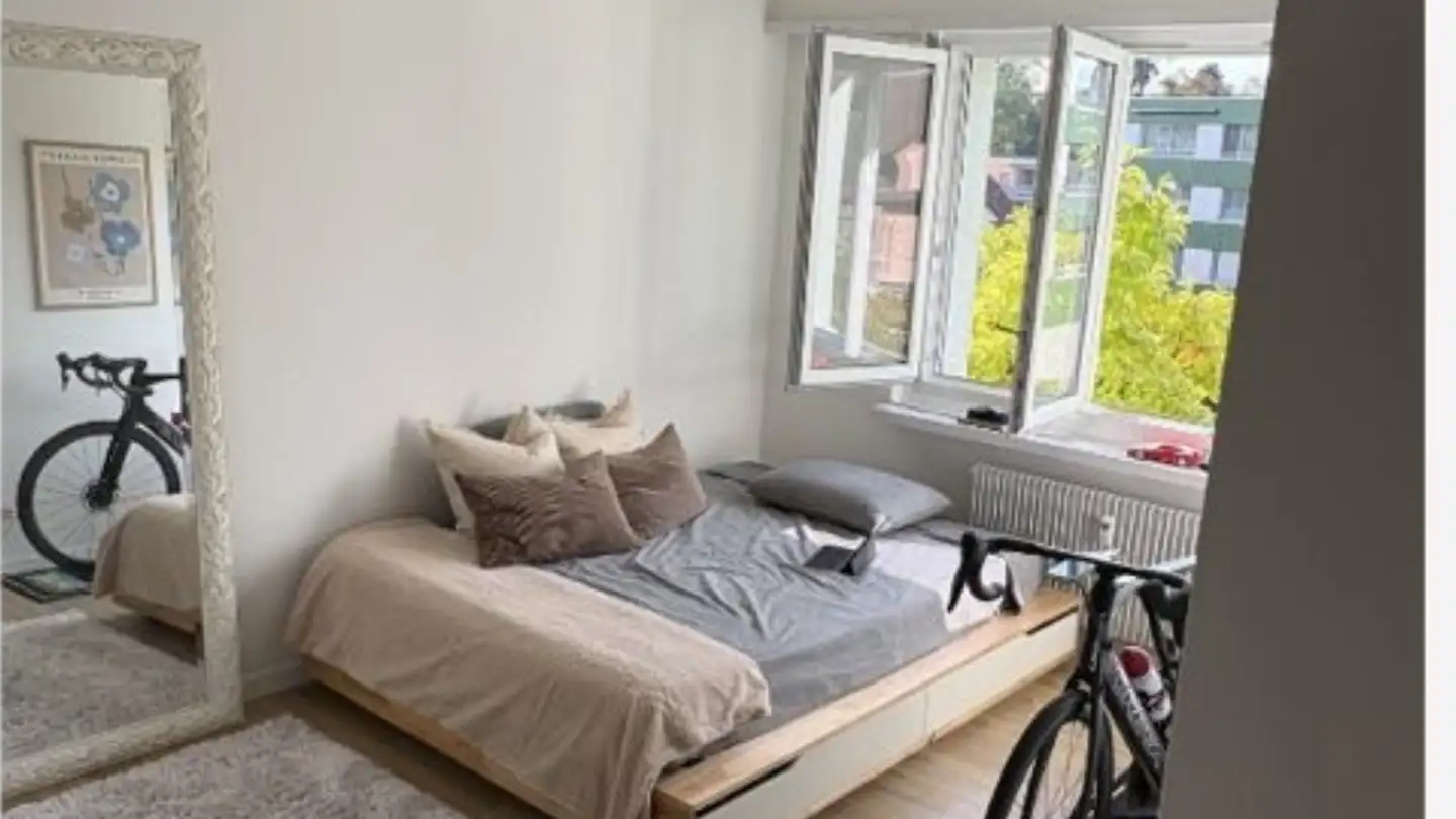 Appartamento in affitto - Junkholzstrasse 3, 8500 Frauenfeld