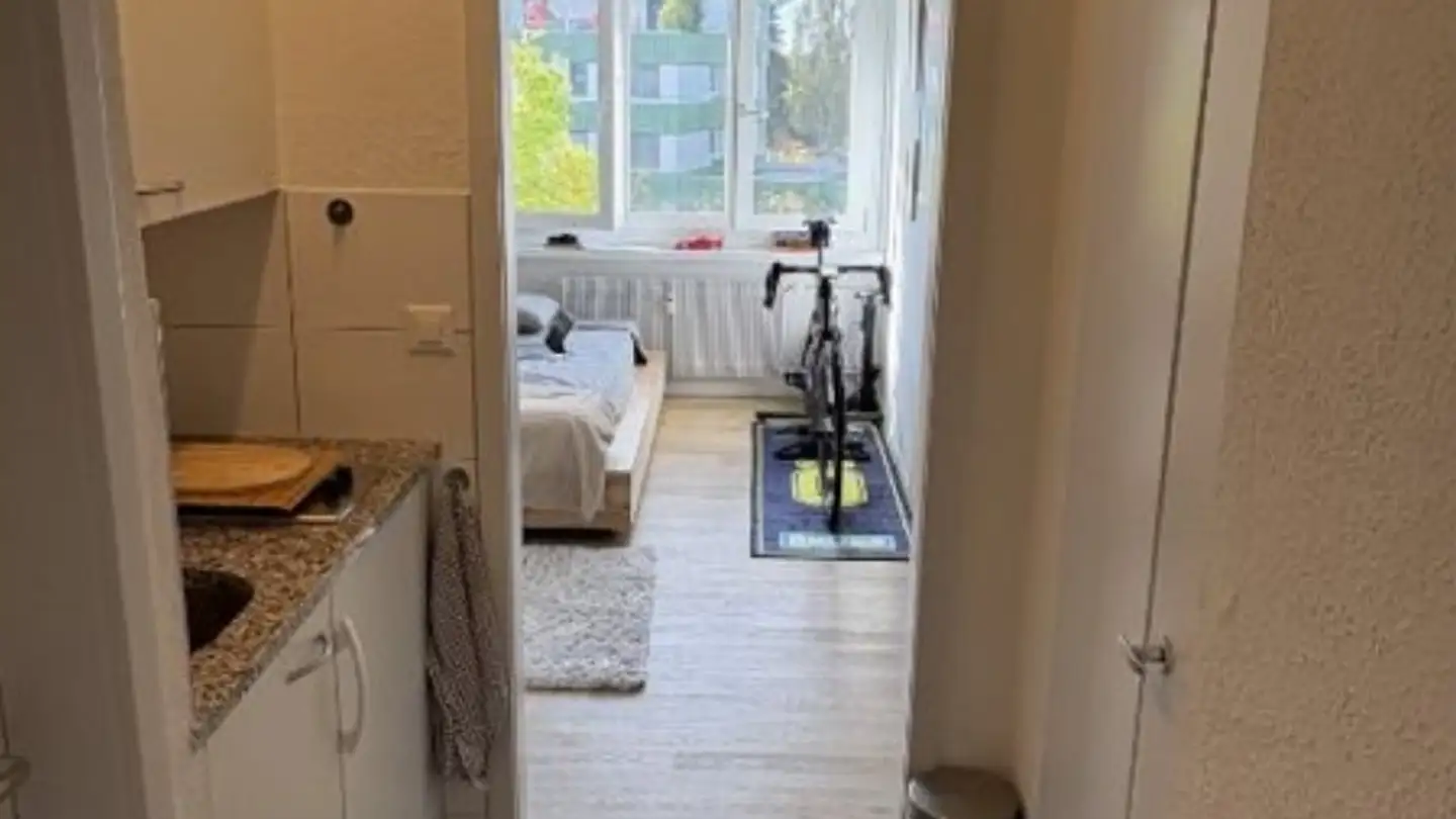 Appartamento in affitto - Junkholzstrasse 3, 8500 Frauenfeld - Foto 2