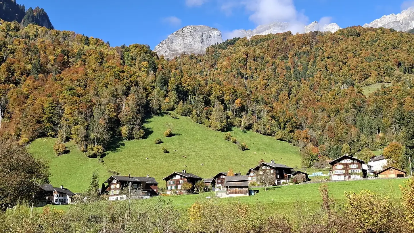 Single house for rent - 8775 Luchsingen - Photo 3