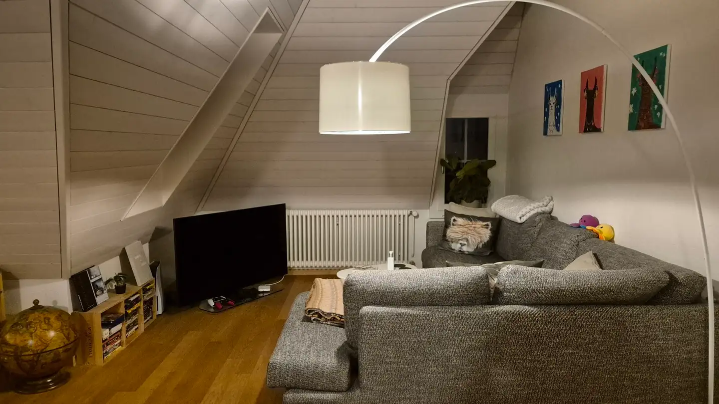 Möblierte Wohnung mieten - 3013 Bern