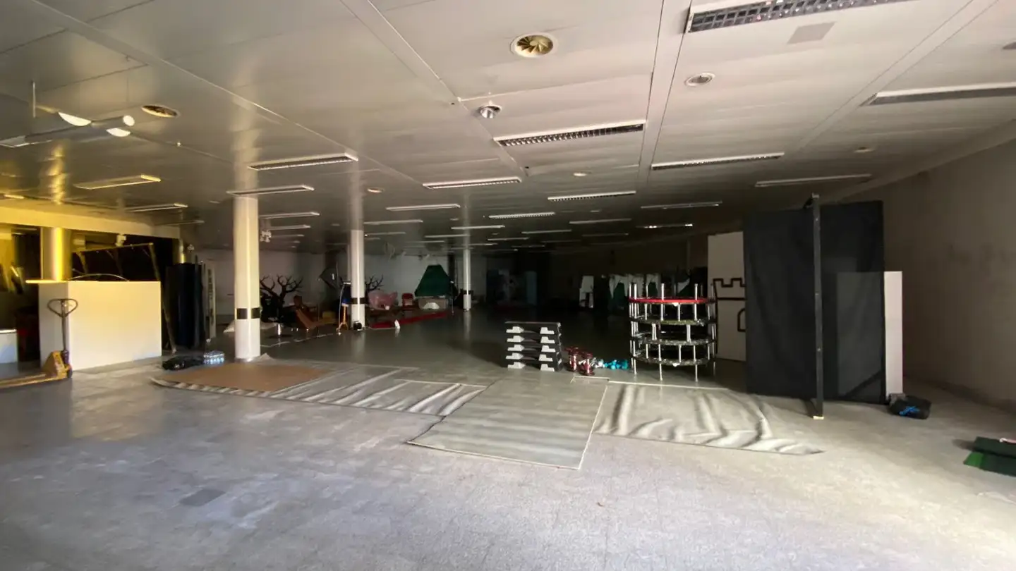 Commerciale in vendita - Via Franco Zorzi 20, 6850 Mendrisio - Foto 3