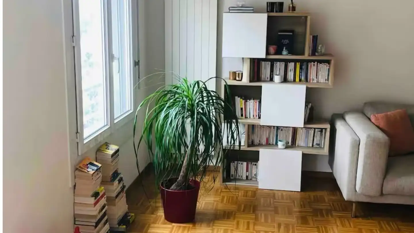 Appartamento in affitto - 1204 Genève