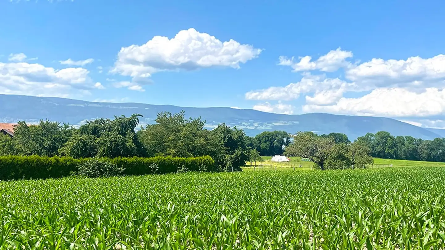 Casa a schiera in vendita - 1400 Cheseaux-Noréaz - Foto 2