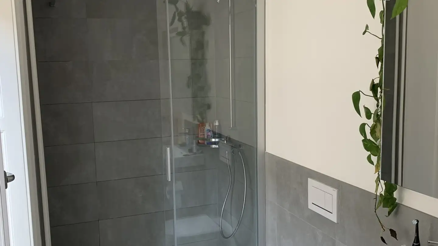 Wohnung mieten - Spalentorweg 4a, 4051 Basel - Foto 3