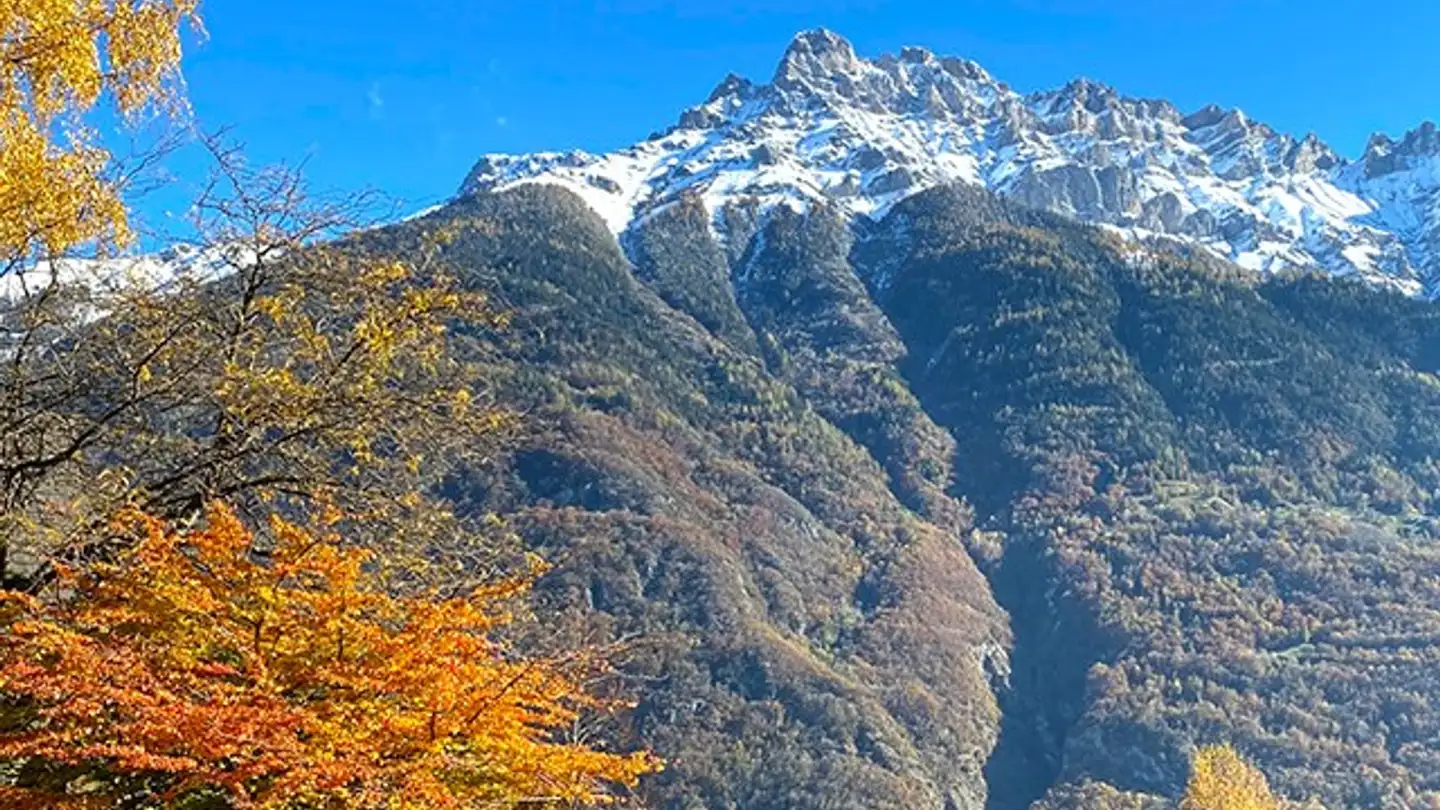 Mehrfamilienhaus kaufen - 1920 Martigny