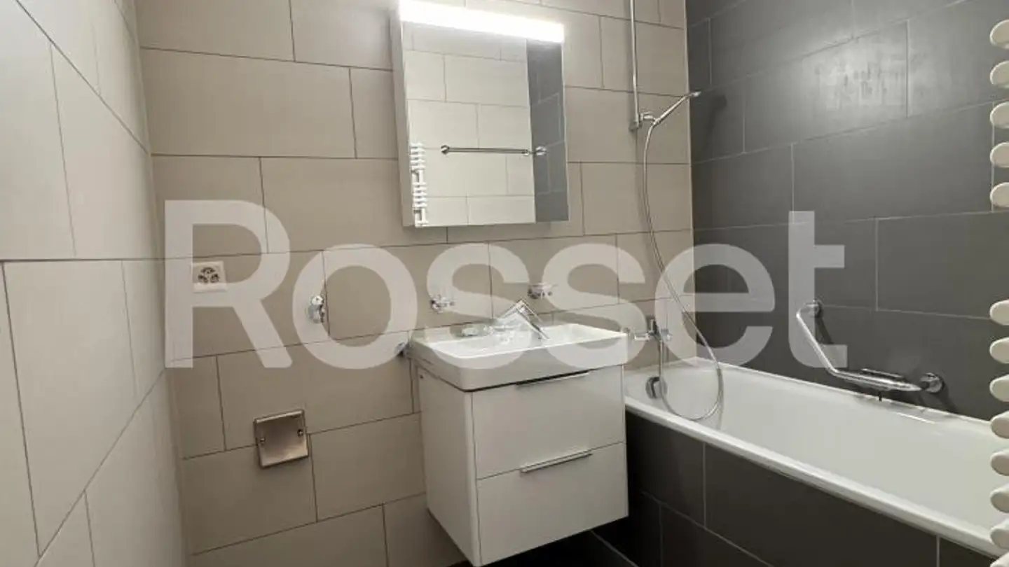 Wohnung mieten - Rue Du Tir-Au-Canon 7, 1227 Carouge GE - Foto 4
