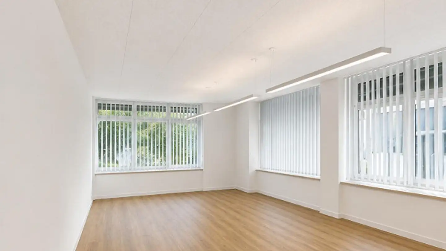 Bureau à louer - Seewenweg 6, 4153 Reinach BL - Photo 4