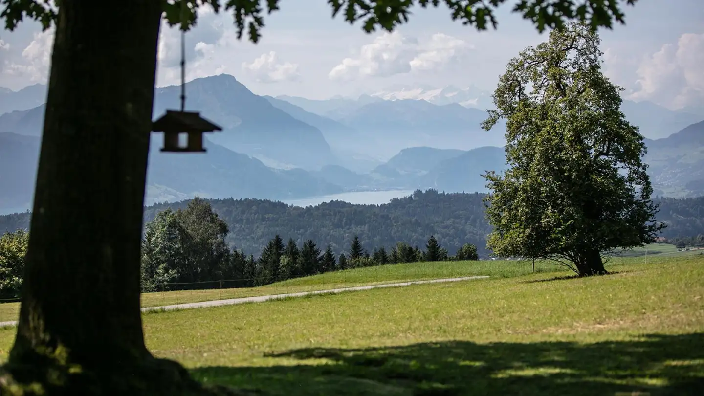 Einfamilienhaus kaufen - 6044 Udligenswil - Foto 4