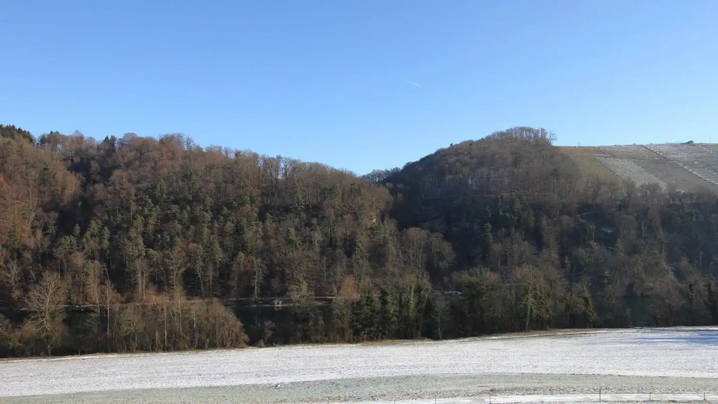 Apartment for sale - Tössriederenstrasse 81, 8193 Eglisau