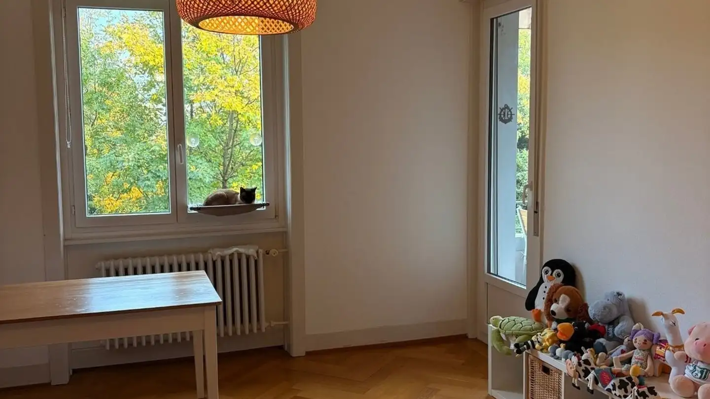 Appartamento in affitto - Avenue De Béthusy 64, 1012 Lausanne
