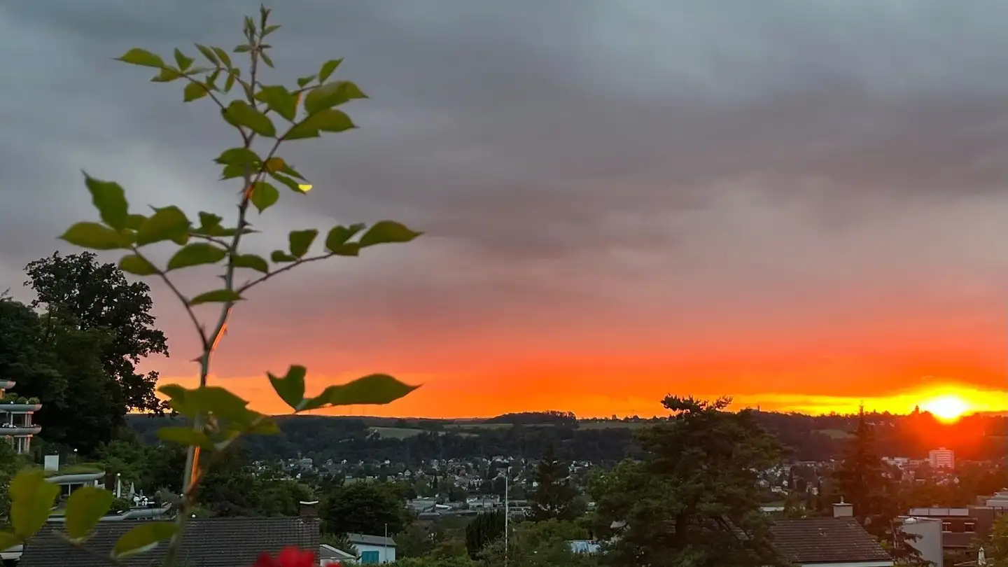 Single house for sale - 4142 Münchenstein