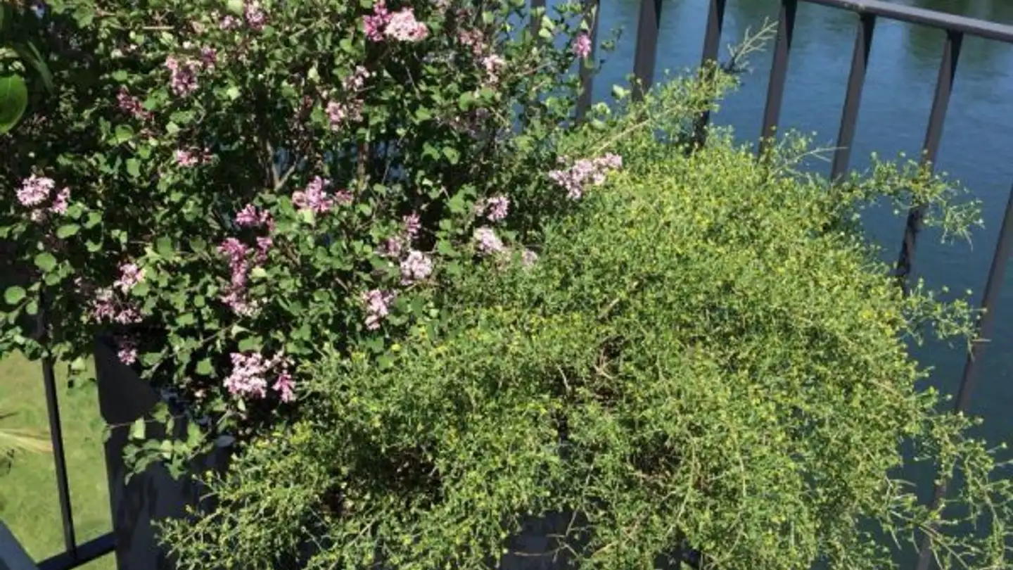 Appartamento in vendita - Limmatstrasse 14, 5412 Vogelsang AG - Photo 4