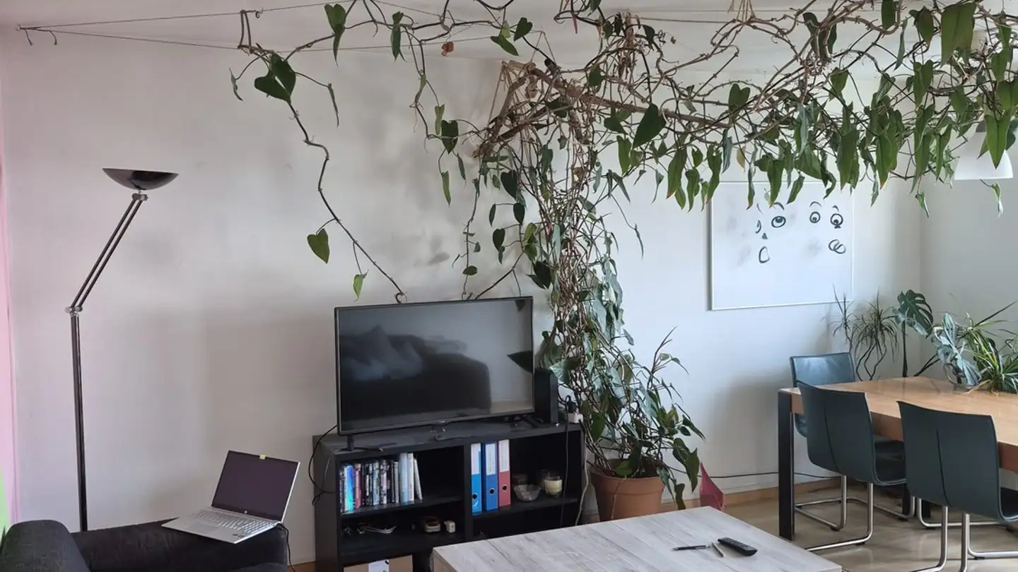 Single room for rent - Greithstrasse 31, 8640 Rapperswil SG