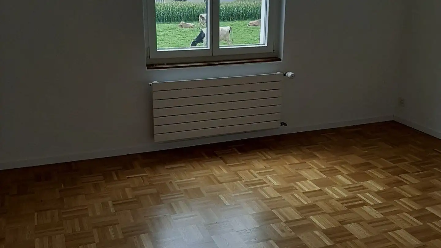 Apartment for rent - Langendorfstrasse 17, 4515 Oberdorf SO - Photo 4