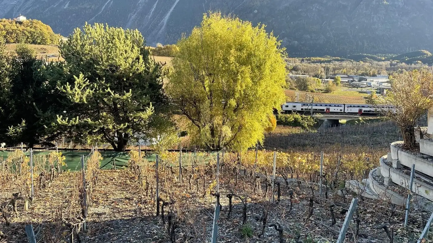 Constructible plot for sale - 3970 Salgesch