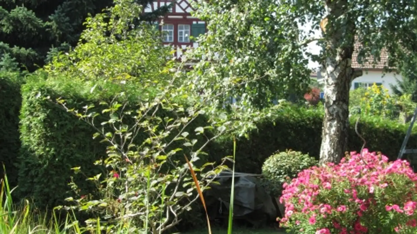 Appartamento ammobiliato in affitto - Bilchenstrasse 5a, 8580 Amriswil - Photo 2