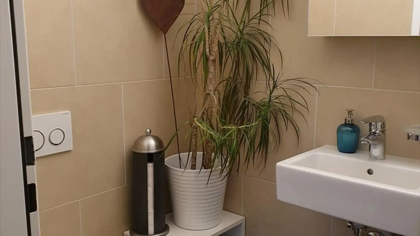 Appartement à louer - Altwiesenstrasse 346, 8051 Zürich - Photo 4