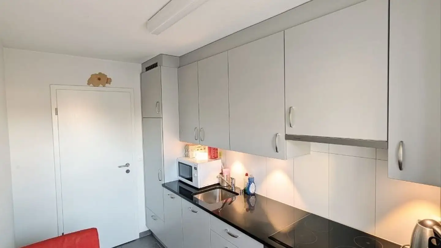 Apartment for rent - In Der Ey 72, 8047 Zürich - Photo 4