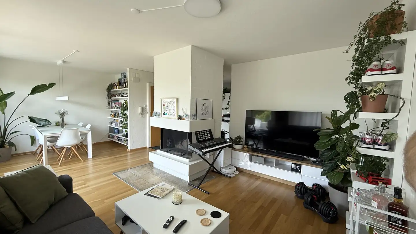 Appartamento in affitto - 4054 Basel