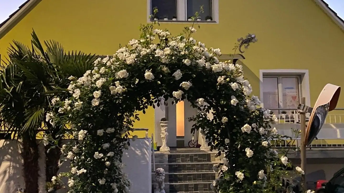 Casa singola in vendita - 5737 Menziken