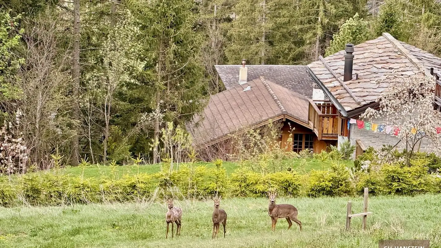 Terreno edificabile in vendita - Route De La Délège, 3963 Crans-Montana - Photo 4