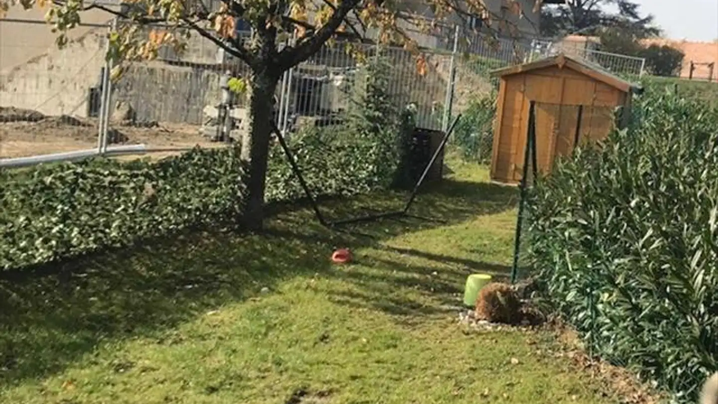 Appartamento in affitto - Rue De La Petite Forge 7, 1026 Echandens - Photo 3