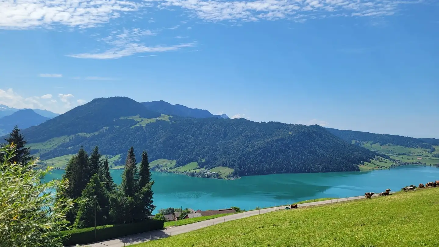 Einfamilienhaus mieten - 6315 Oberägeri - Foto 2