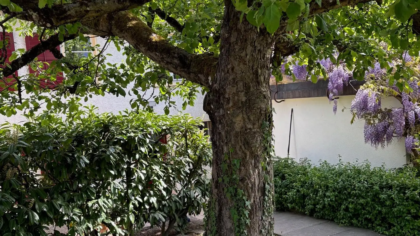 Attic flat for rent - Allmendstrasse 67, 4500 Solothurn - Photo 2