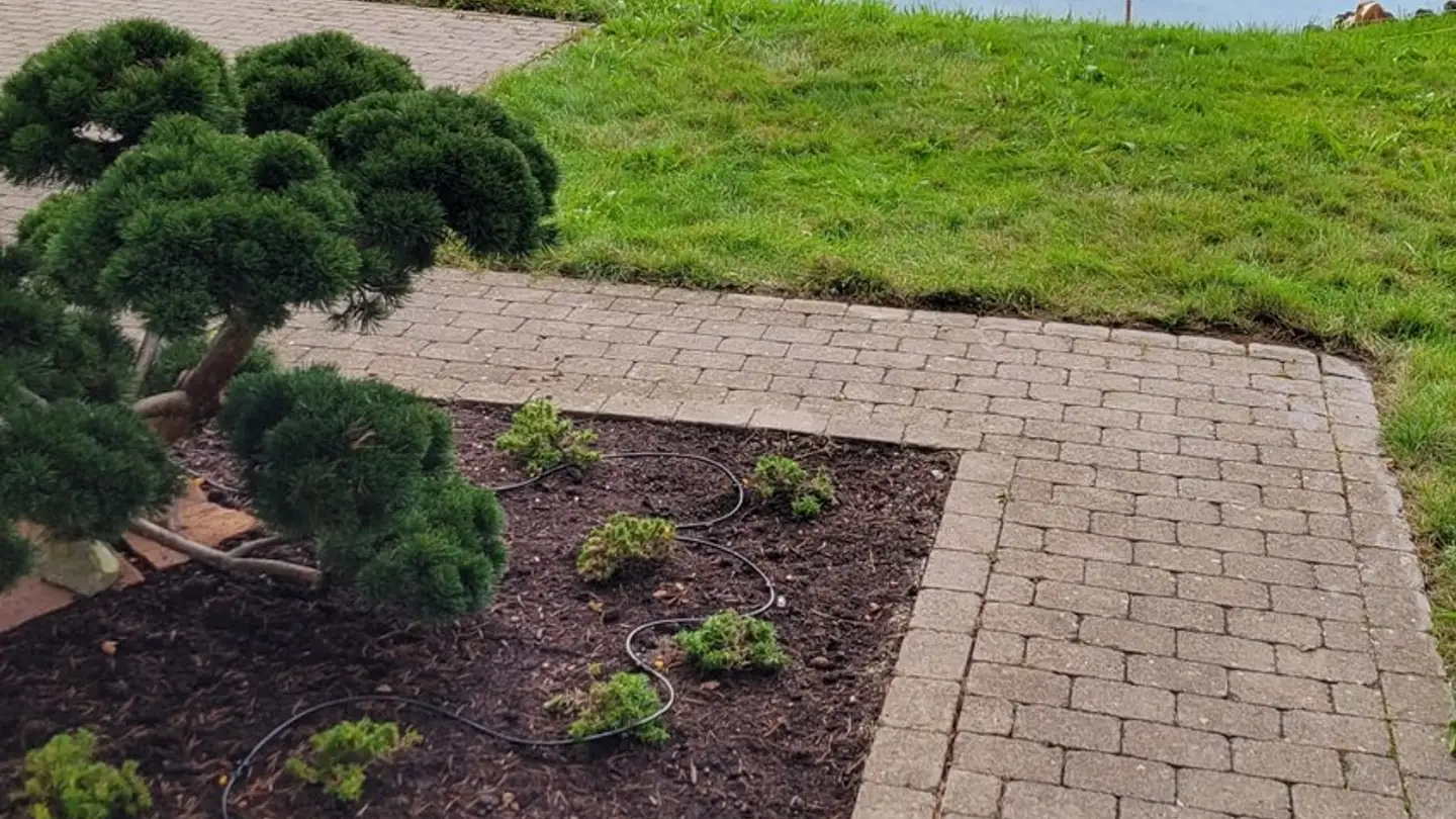 Einfamilienhaus mieten - 6315 Oberägeri - Foto 3