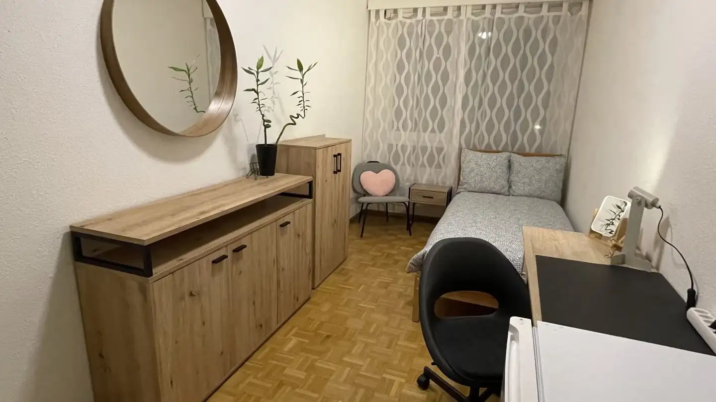 Möblierte Wohnung mieten - Route De Meyrin, 1217 Meyrin
