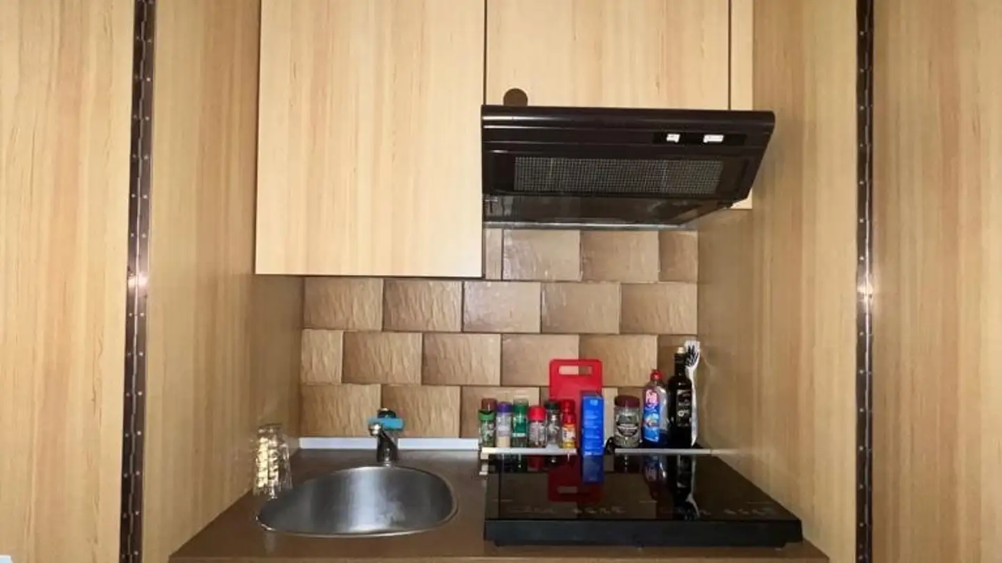 Appartamento in affitto - Oberlandstrasse 85, 8610 Uster - Photo 4