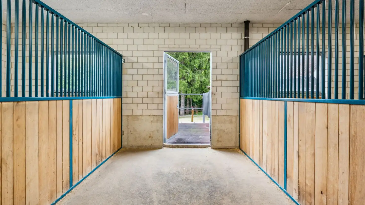 Maneggio in vendita - 9545 Wängi - Photo 4