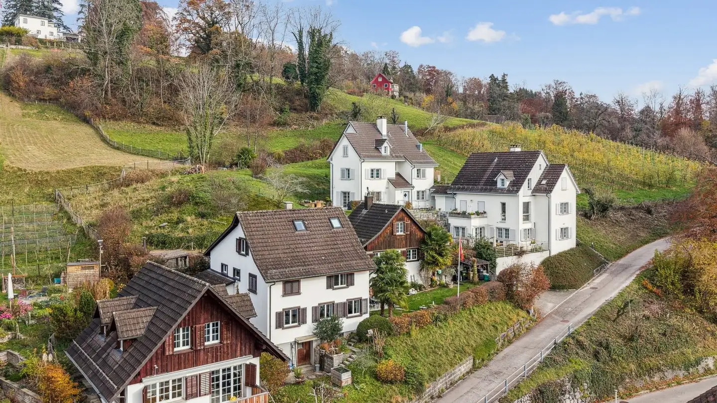 Bauland kaufen - Trachterholzstrasse 3, 8708 Männedorf - Foto 2