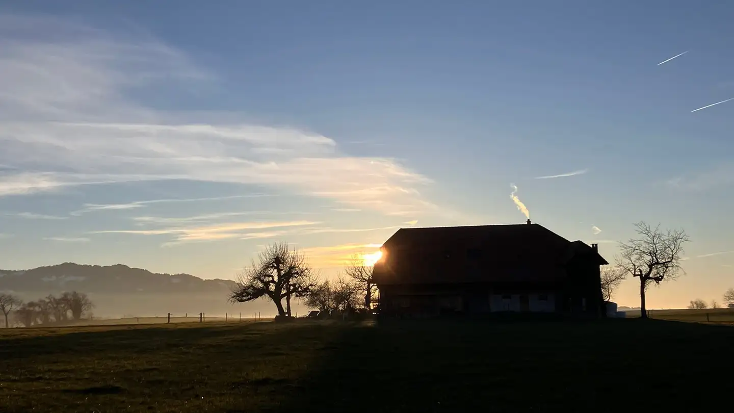 Appartamento in vendita - 1867 Panex