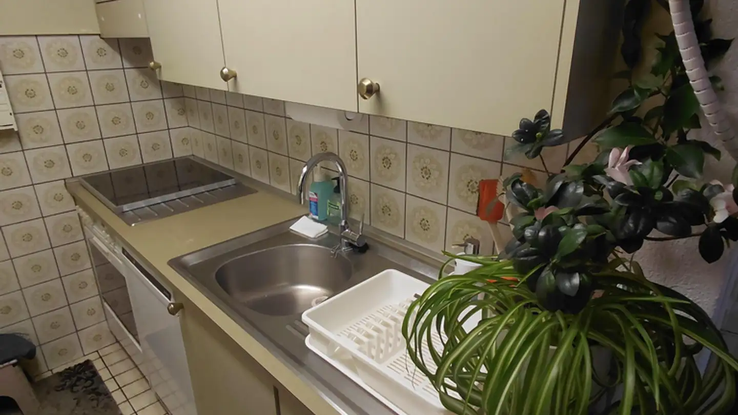 Wohnung kaufen - Dorfstrasse 34, 8835 Feusisberg - Foto 3