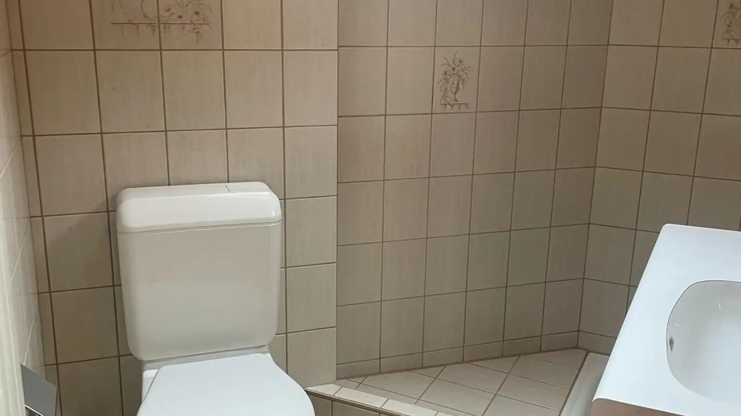 Appartamento in affitto - Mittlere Gasse 1, 4717 Mümliswil - Photo 3