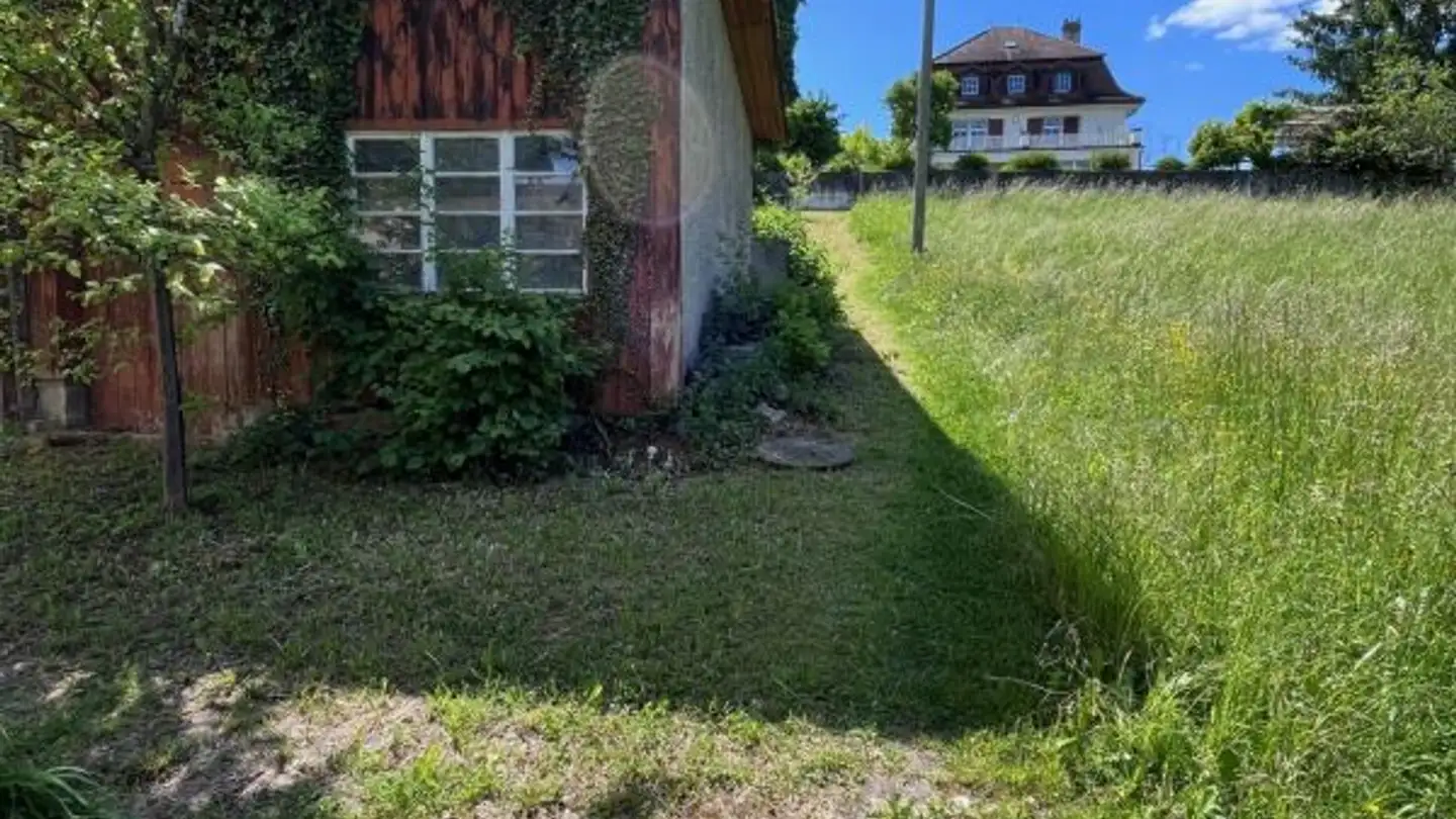 Edificio ad uso misto in vendita - Schöntalstrasse, 5712 Beinwil am See - Photo 4