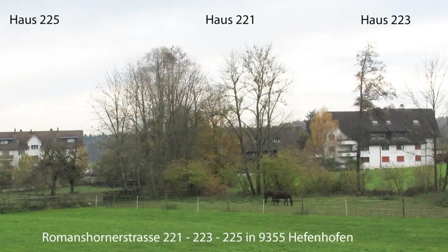 Appartement à louer - Romanshornerstrasse 221, 8580 Hefenhofen - Photo 2