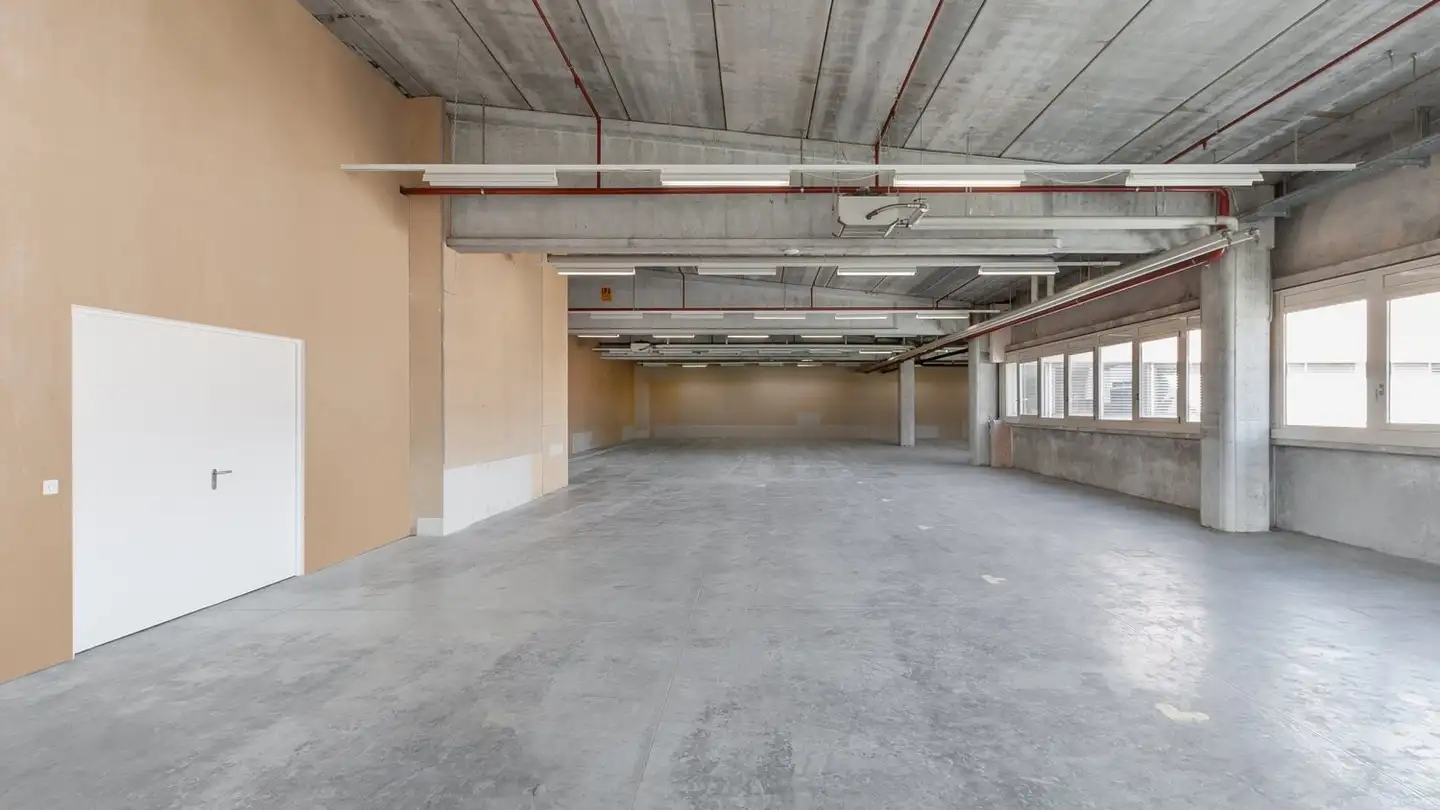 Industrial property for rent - Via Cantonale 6, 6928 Manno - Photo 2