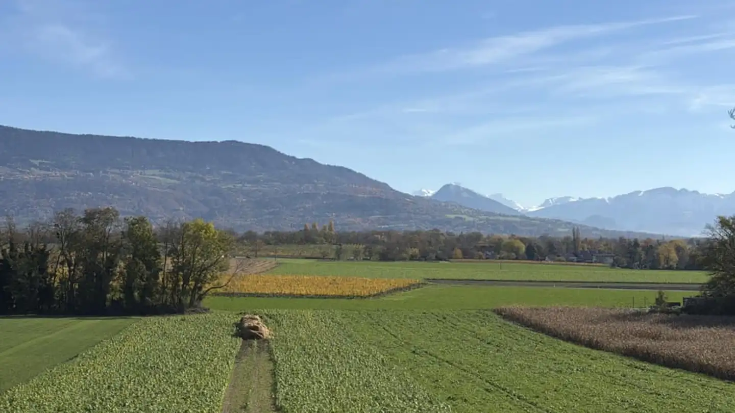 Wohnung kaufen - 1252 Meinier - Foto 3