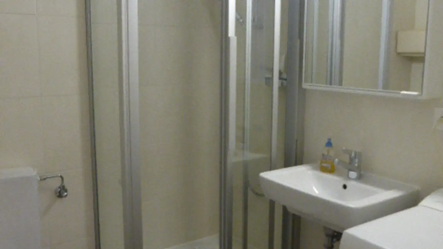 Appartamento ammobiliato in affitto - Rue De La Dôle, 1203 Genève - Photo 4