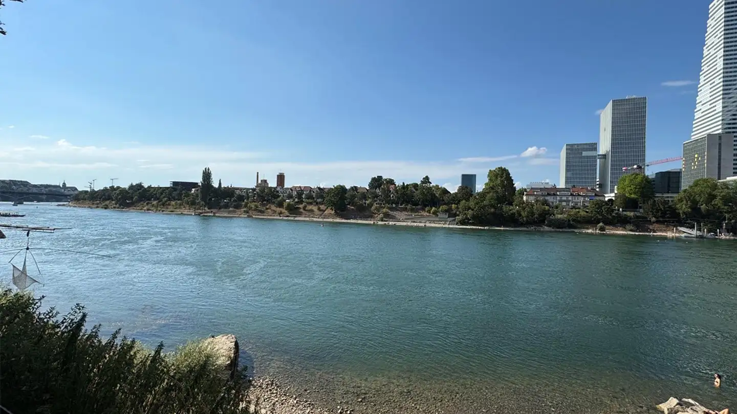 Appartamento in affitto - 4058 Basel
