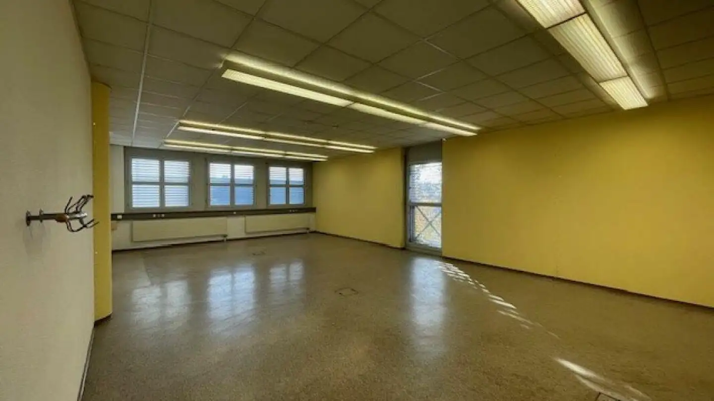 Casa singola in affitto - Bildaustrasse 20, 8640 Rapperswil SG