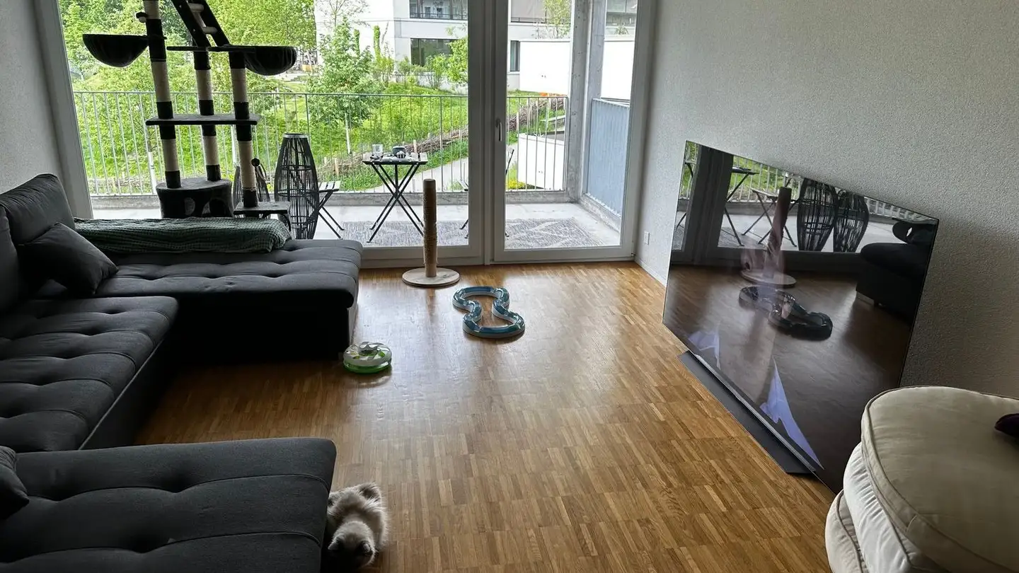 Appartamento in affitto - Bahnhofstrasse 11, 5600 Lenzburg - Photo 2