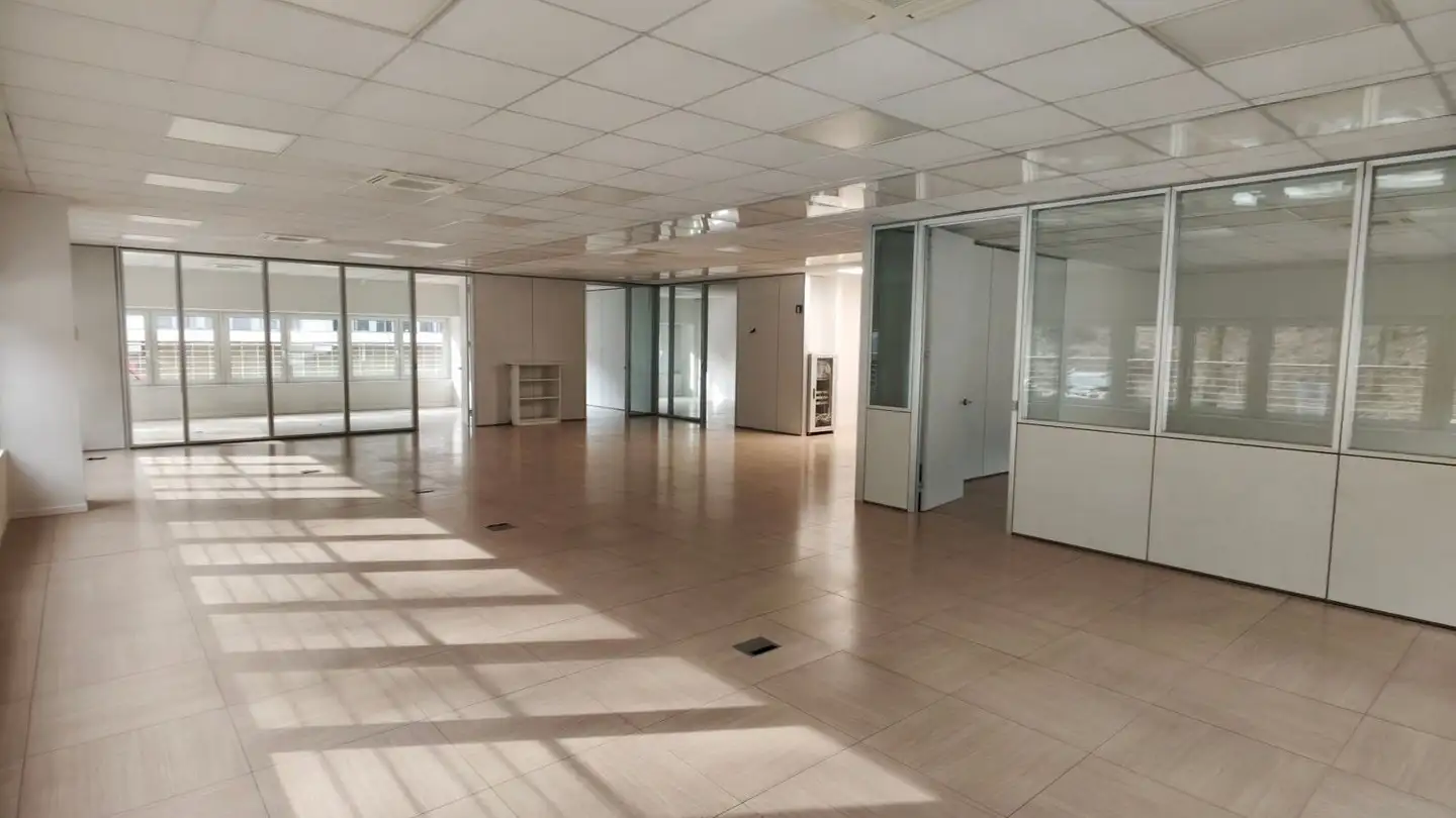 Office space for rent - Via Ciossa 3, 6806 Sigirino