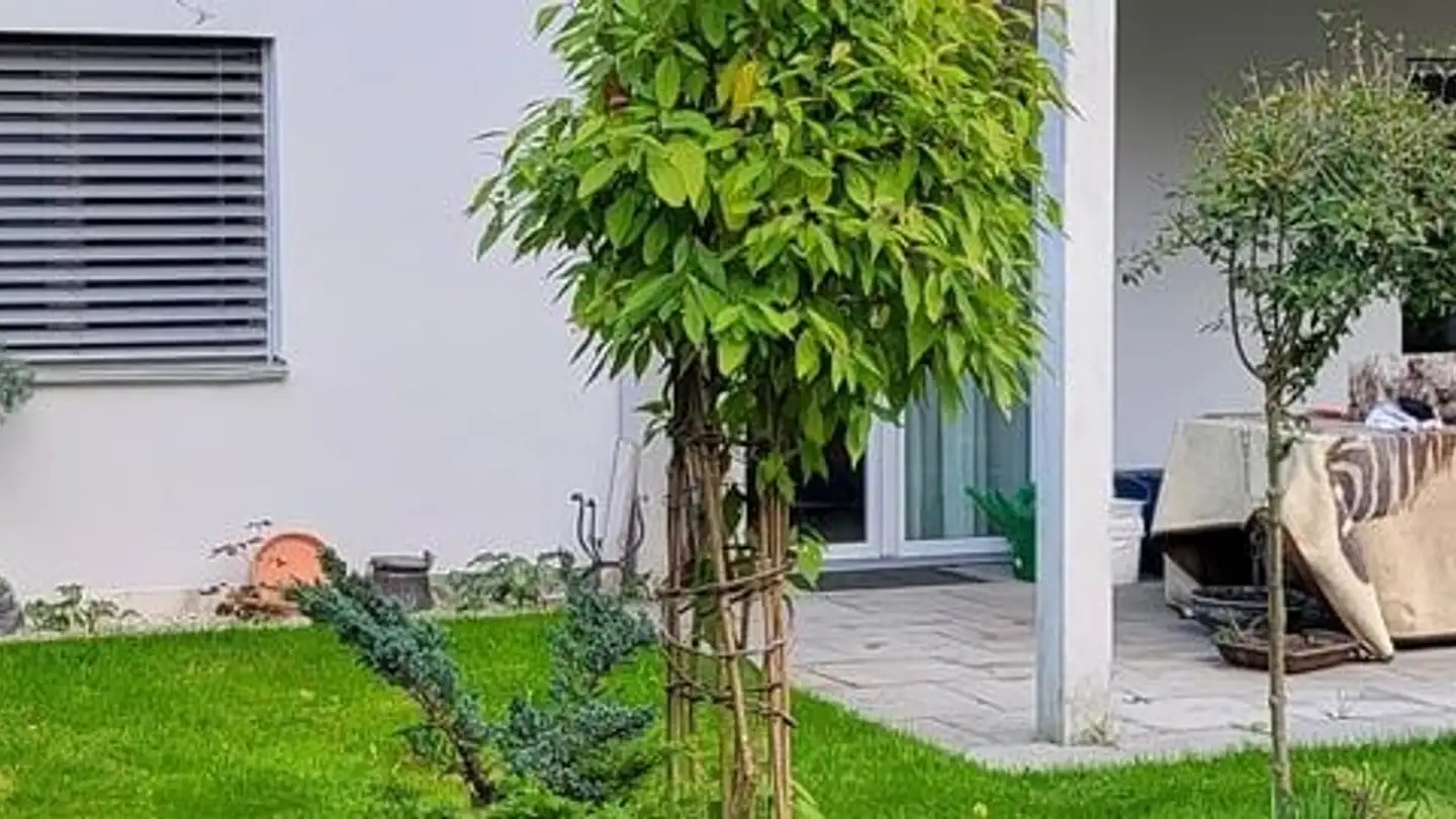 Appartamento in affitto - Chrüzacherstrasse 14, 8303 Bassersdorf - Photo 2